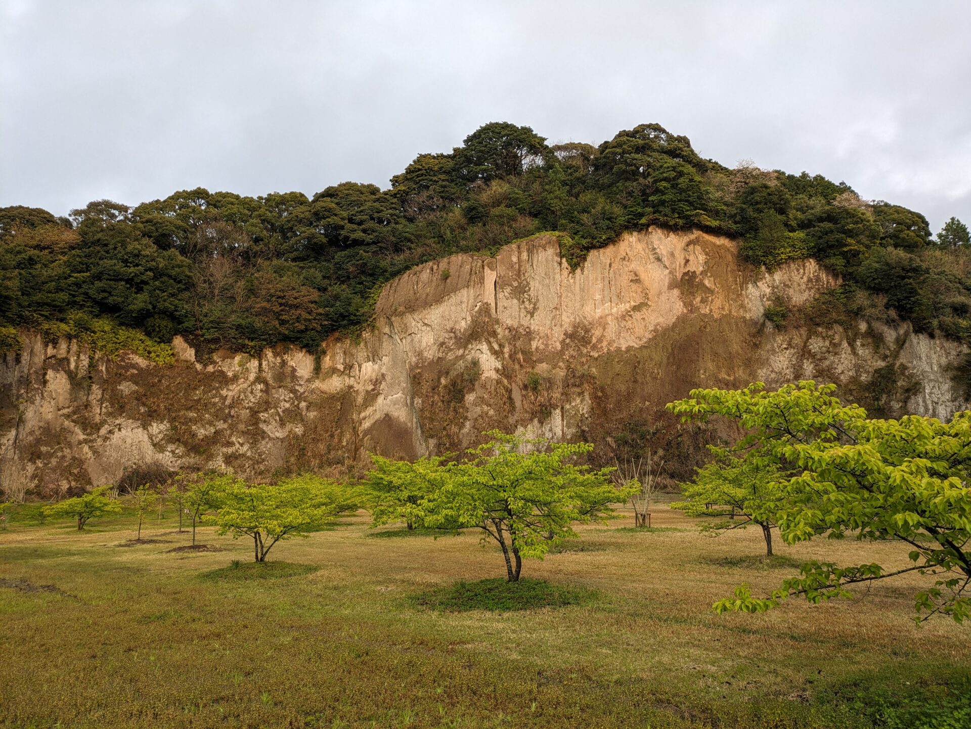 鹿児島旅行