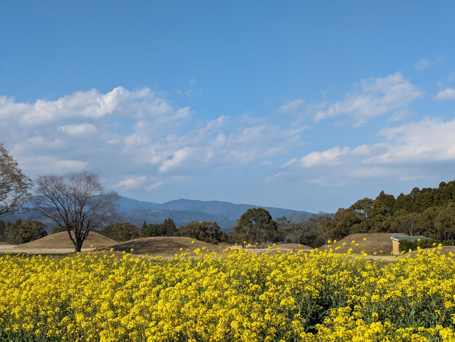 宮崎観光