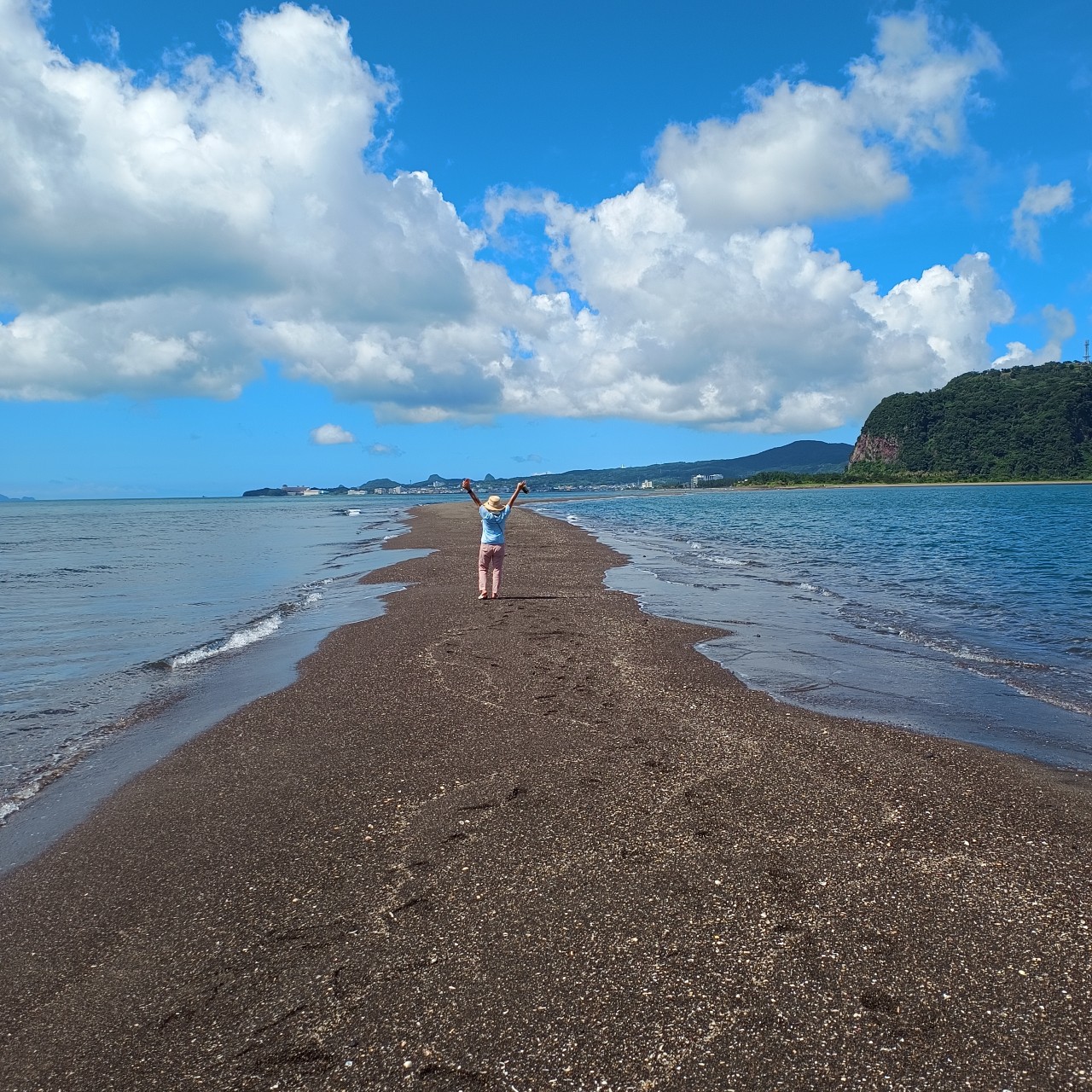 知林ヶ島